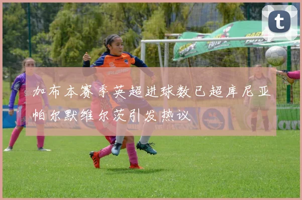 加布本赛季英超进球数已超库尼亚帕尔默维尔茨引发热议