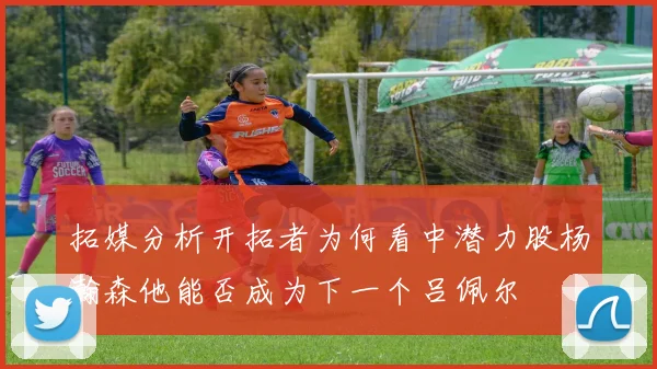 拓媒分析开拓者为何看中潜力股杨瀚森他能否成为下一个吕佩尔