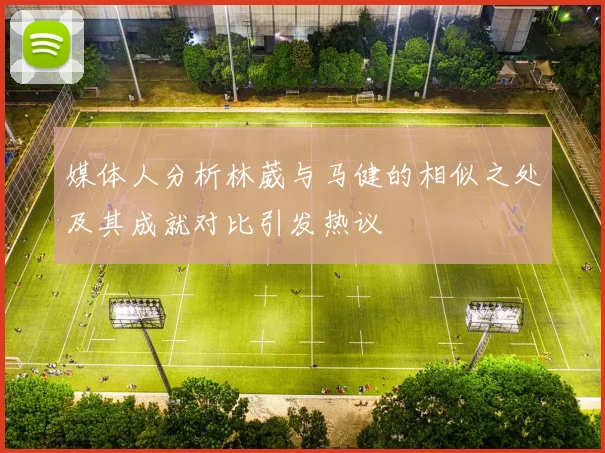 媒体人分析林葳与马健的相似之处及其成就对比引发热议