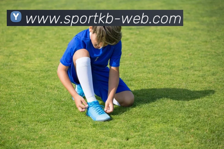 KB体育APP 高清赛事图